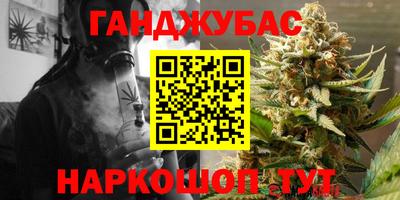 гидропоника Камышлов