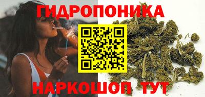 PSILOCYBIN Канаш