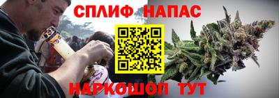 гидропоника Камышлов