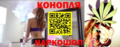 гидропоника Камышлов