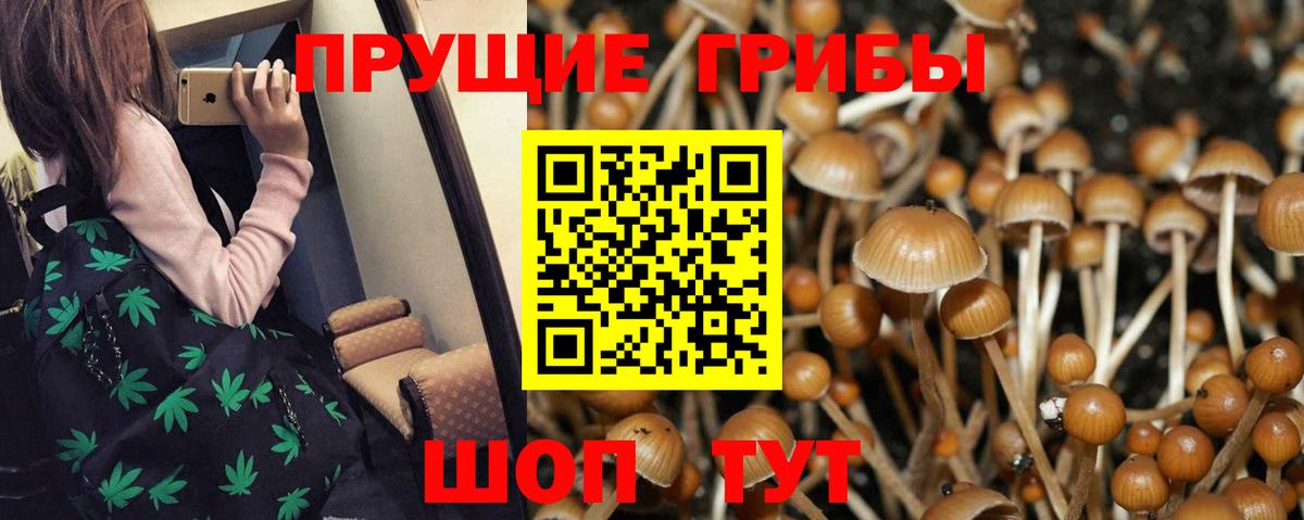 Псилоцибиновые грибы Magic Shrooms  Вход с VPN  Псилоцибиновые грибы Psilocybe  купить наркотик  Майкоп 