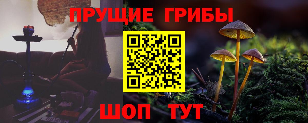 Галлюциногенные грибы мицелий Майкоп